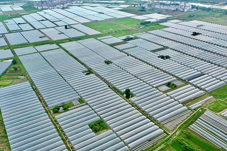 高安市上湖鄉(xiāng)蔬菜產業(yè)園